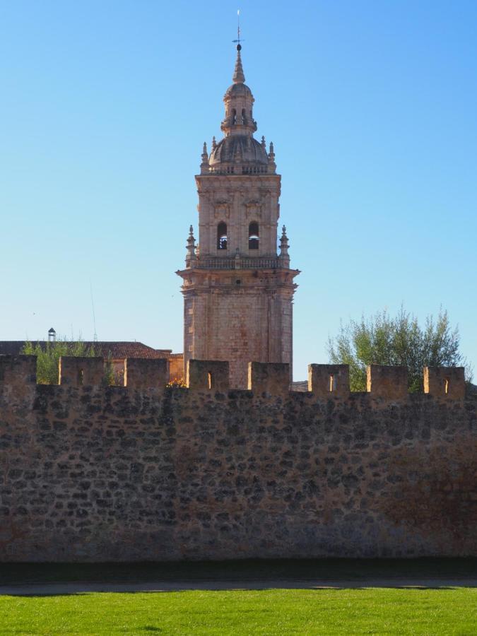 La Casona Del Zoilo -Los Arenales- El Burgo De Osma Exteriör bild